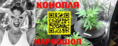 тгк Ставрополь